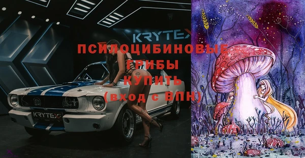 молекула духа Краснотурьинск