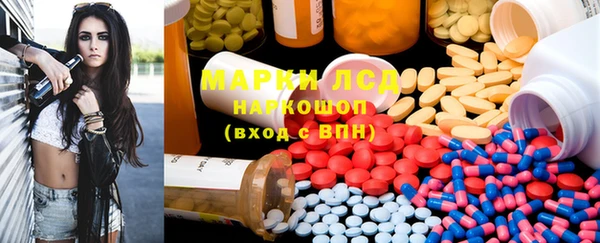 ПСИЛОЦИБИНОВЫЕ ГРИБЫ Костерёво