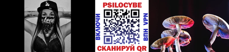 продажа наркотиков  Спас-Клепики  кракен онион  Псилоцибиновые грибы GOLDEN TEACHER 